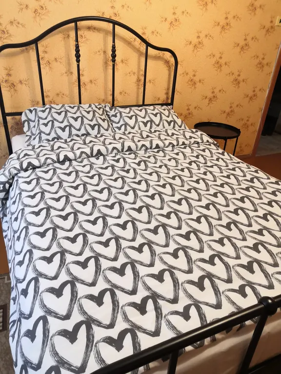 1-ая квартира в центре города