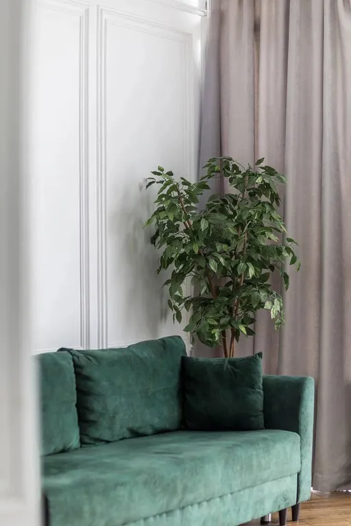 Апартаменты с видом на город