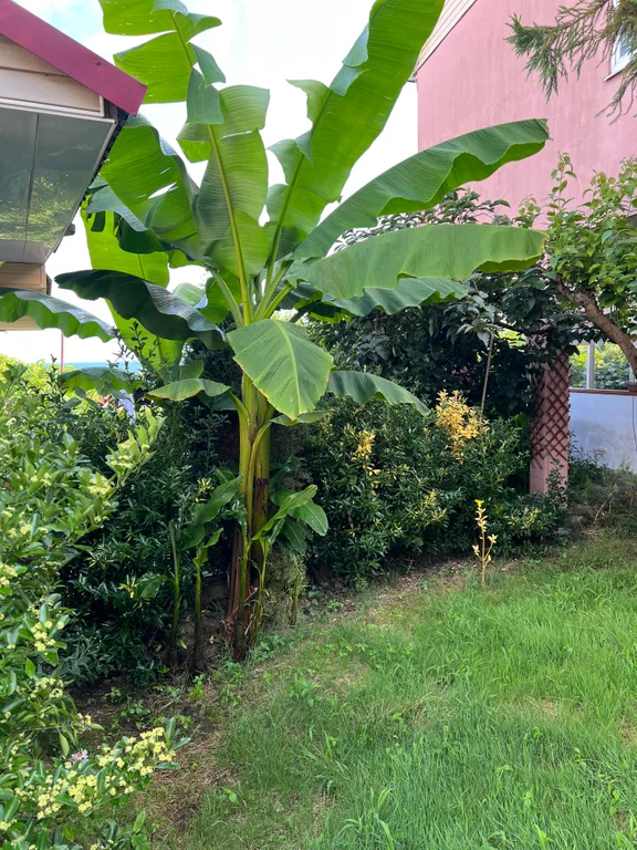 Домик с видом на море и бассейном