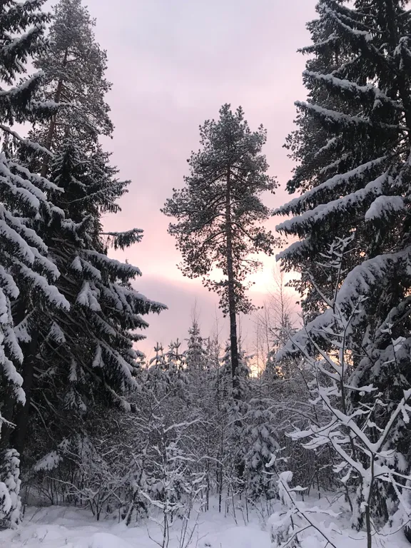 Коттедж Дом для семейного отдыха с баней — Сойкино