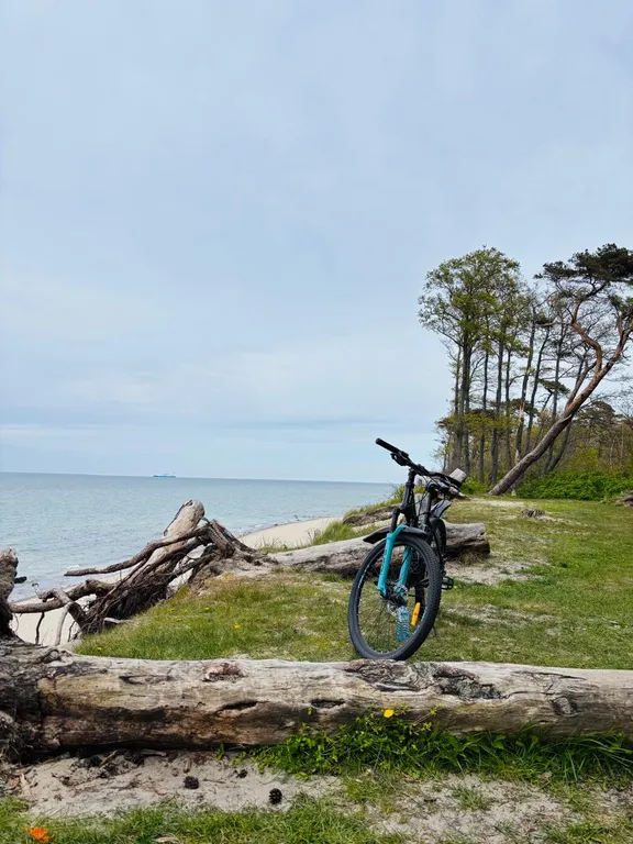 Уютная квартира на Балтийском побережье