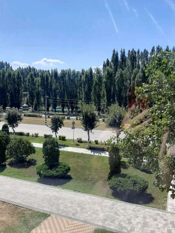 Квартира с дизайнерским ремонтом