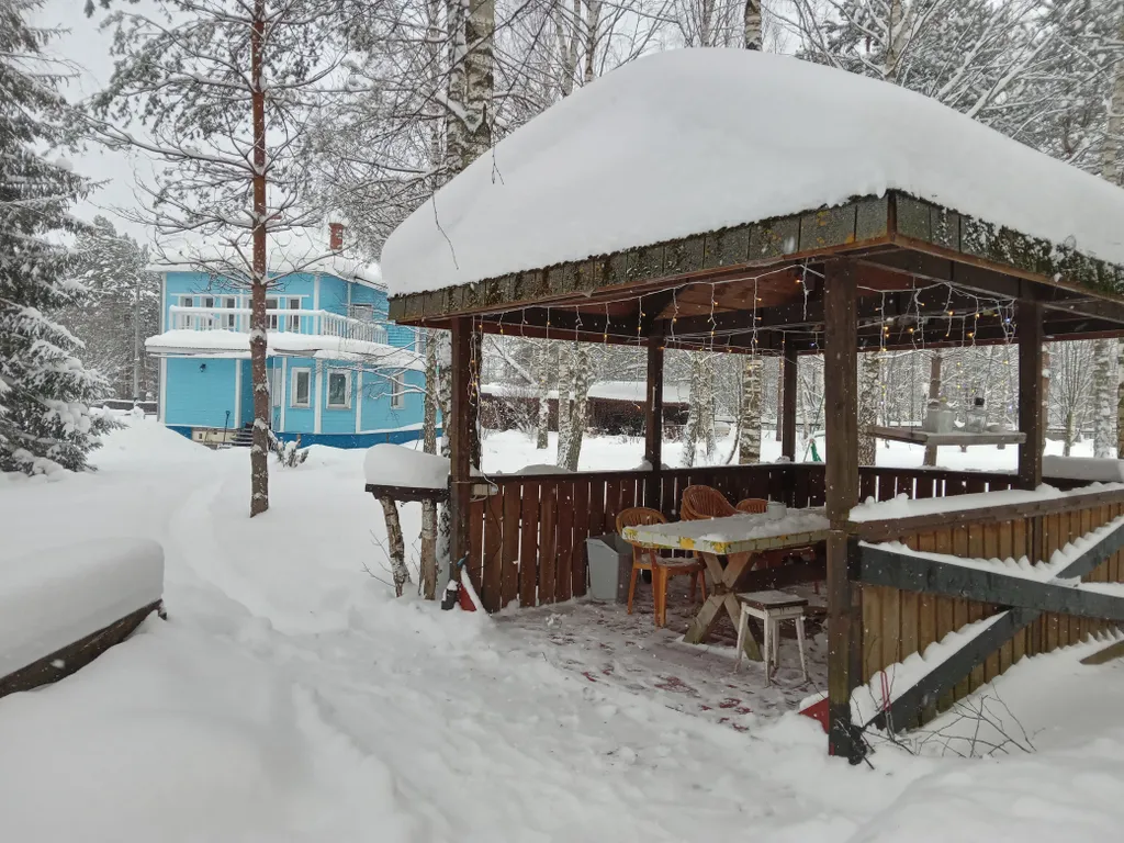 Дом на большом лесном участке