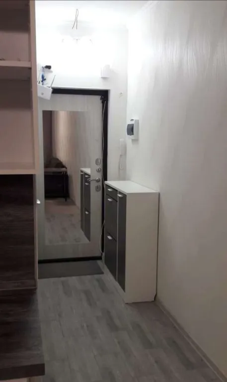 Студия с новым ремонтом мебелью и бытовой техникой