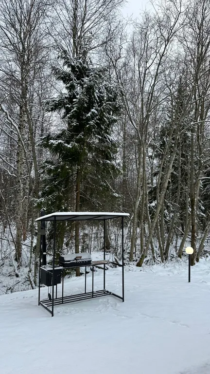 Дом с видом на лес