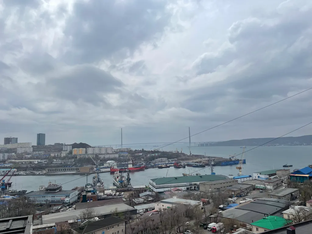 Квартира Просторная квартира в новострое с видом на Русский мост — Владивосток