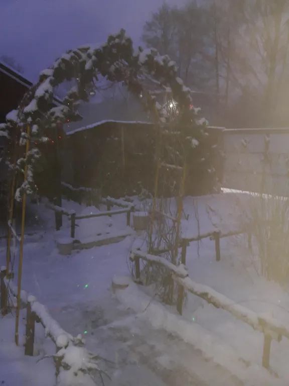 Медвежий угол