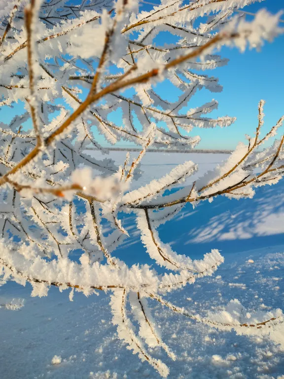 Коттедж Уютный дом у озера — Волосово