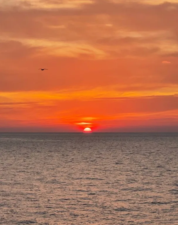 Четырех местный стандарт