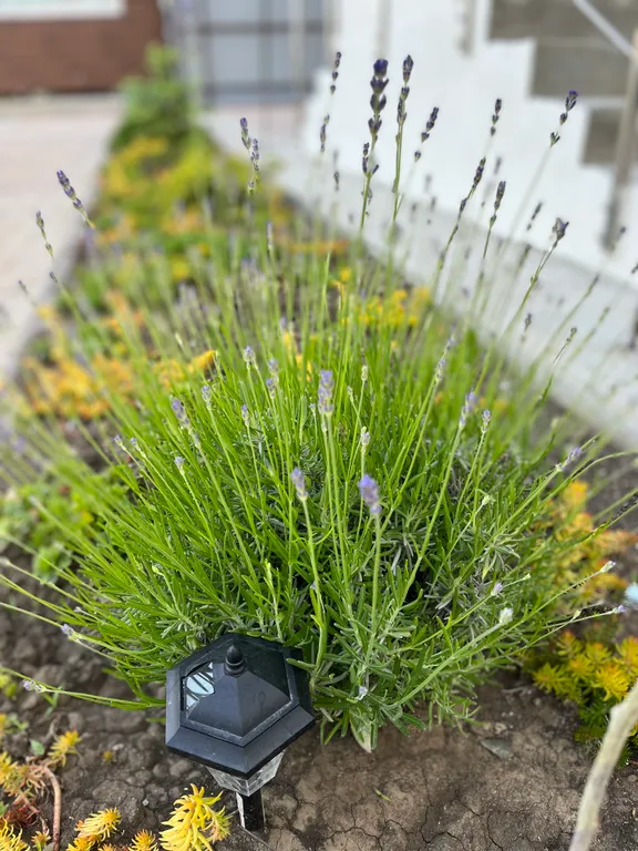 Квартира Комната — Анапа