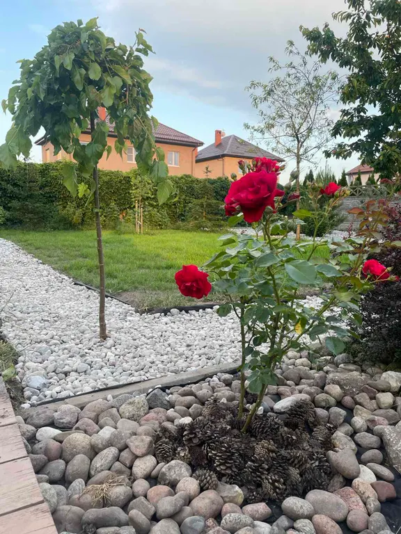 Дом художника