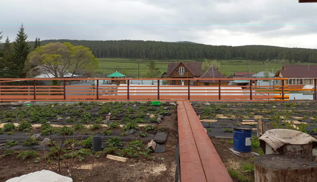 Дом с видом на горы и лес