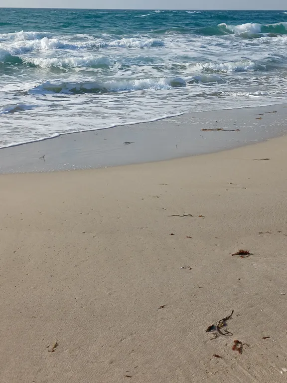 Загородное жильё для большой семьи у моря