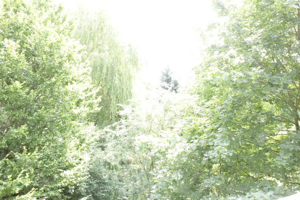 Квартира Уютная квартира 900 метров до центральной площади — Калининград