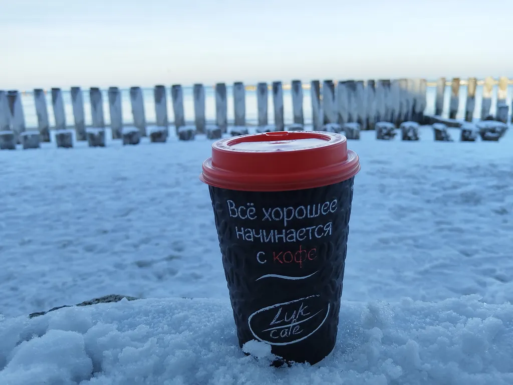 Уютная студия в прекрасном городе-курорте Светлогорск (Rauschen)