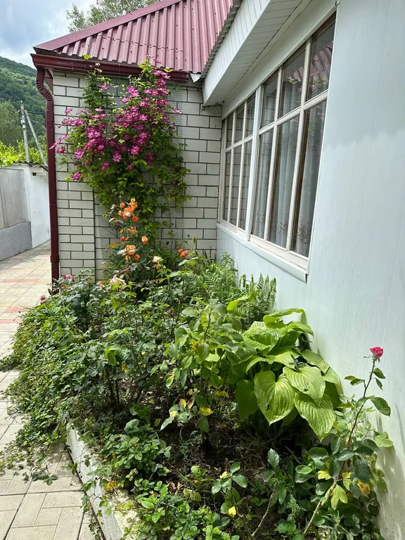 Дом у реки Белая