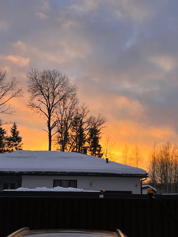 Просторный дом с камином в сосновом лесу