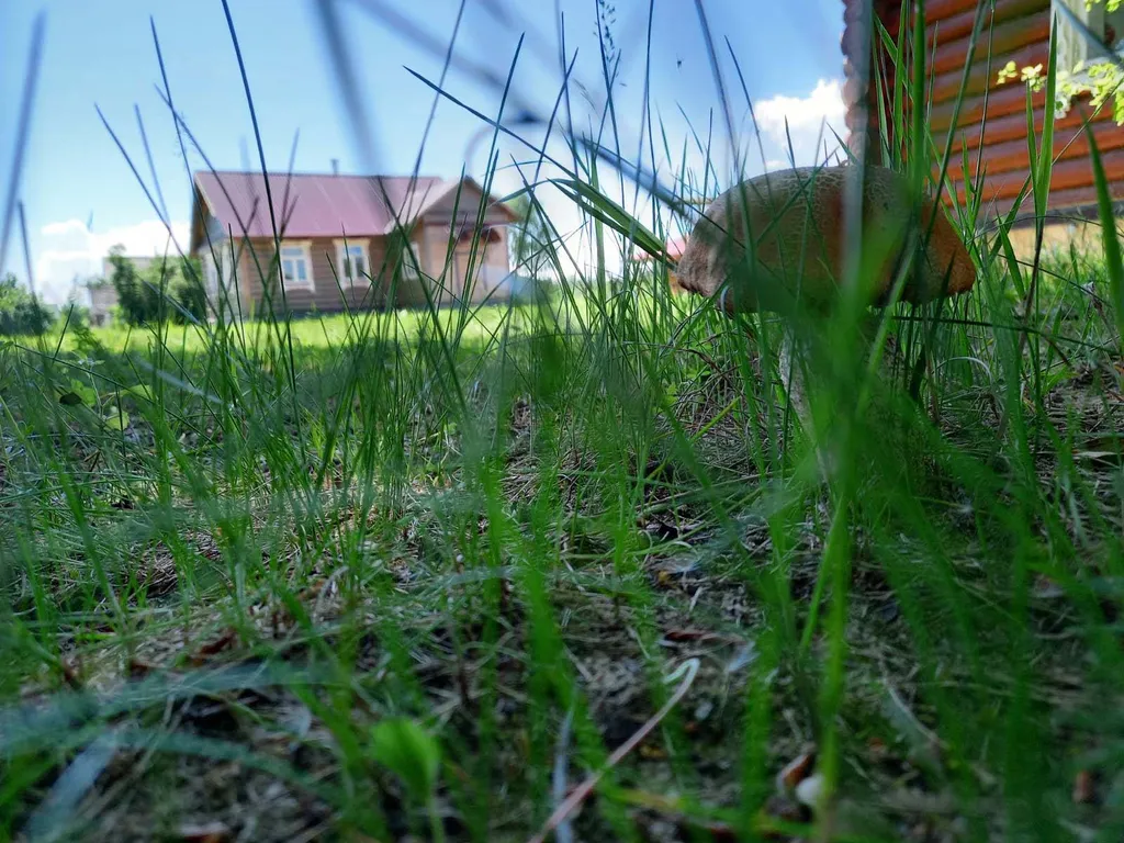 Дом в деревне