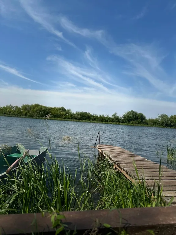 Уютный комплекс отдыха на берегу реки