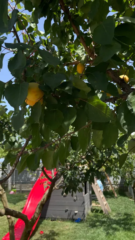 Двухкомнатные апартаменты на 4 человек в 200 метрах от моря