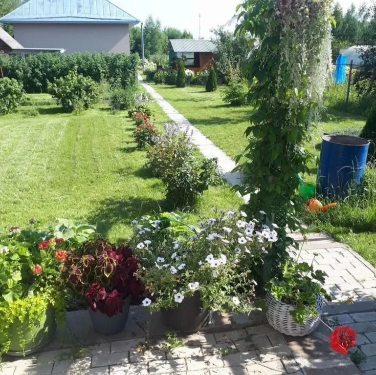 Дом благоустроенный