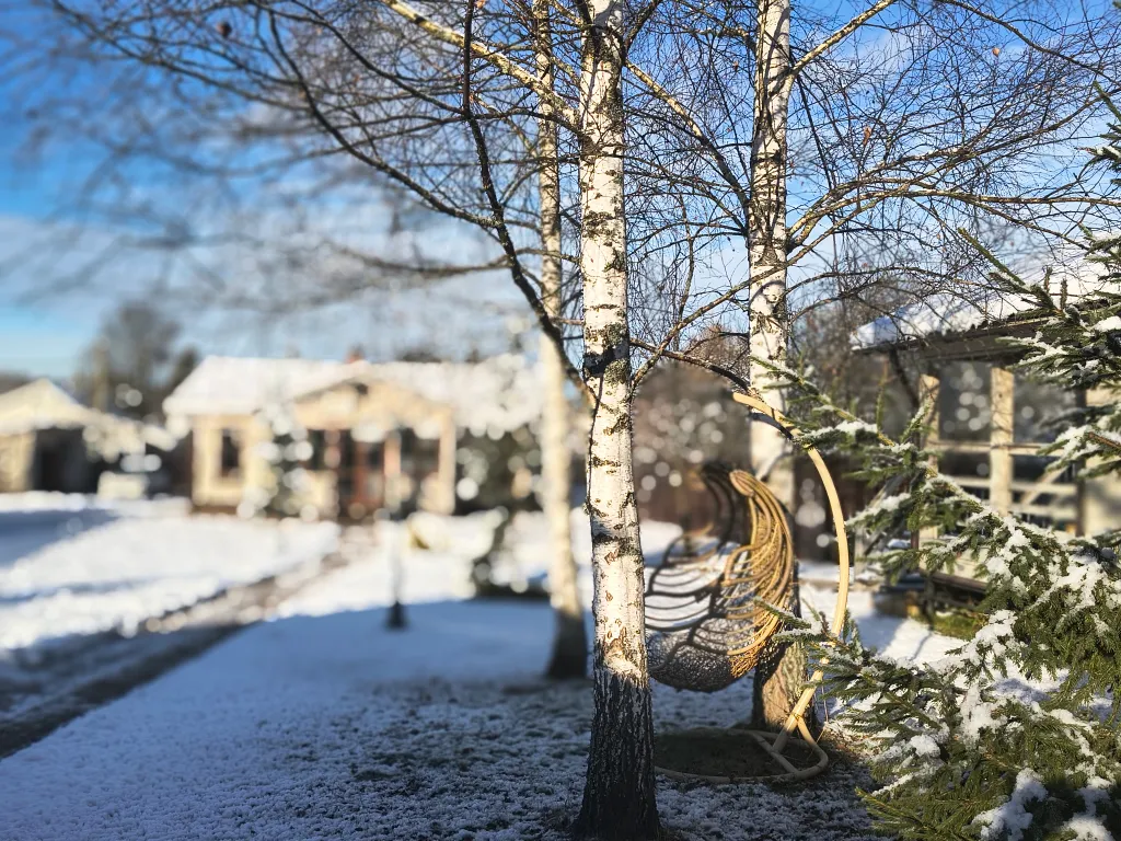 Русская усадьба с баней со швейцарским флёром
