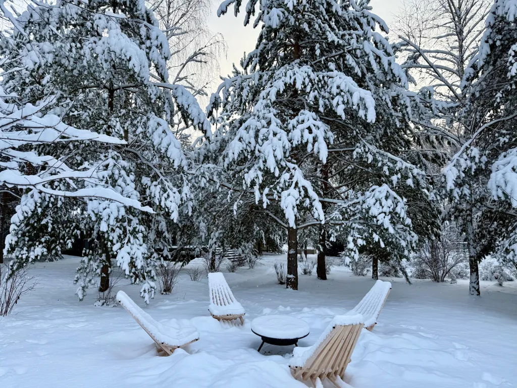 Домик в лесу