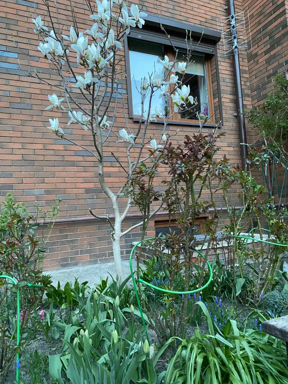 Двухкомнатная квартира у моря