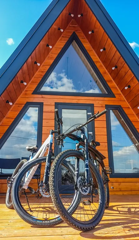 Стильный дом рядом с лесом