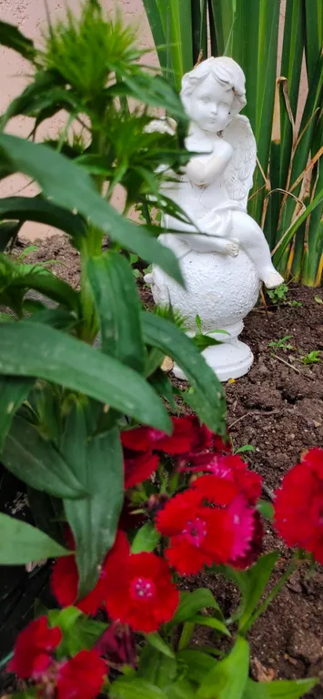 Часть дома с отдельным входом и парковкой для авто