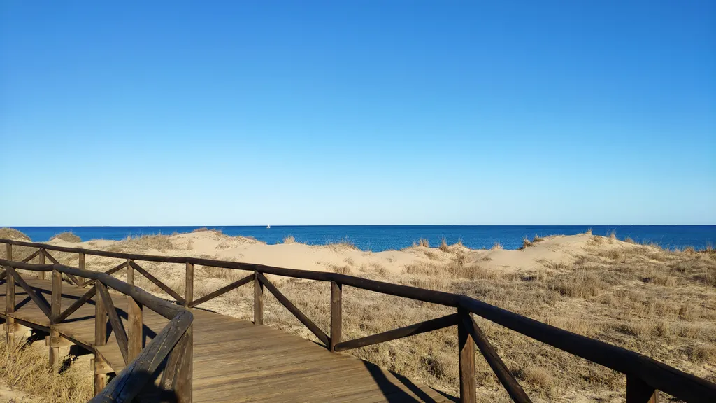 Апартаменты с видом на тихий сад рядом с морем