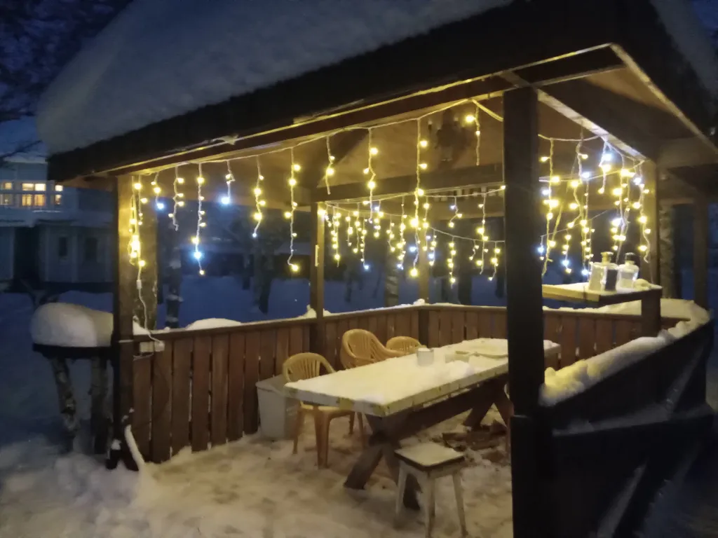 Дом на большом лесном участке