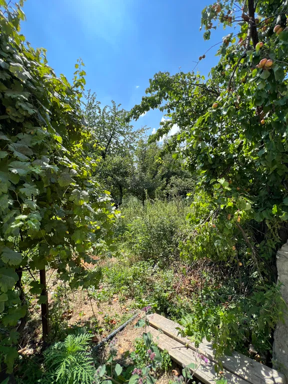 Дом в живописных горах