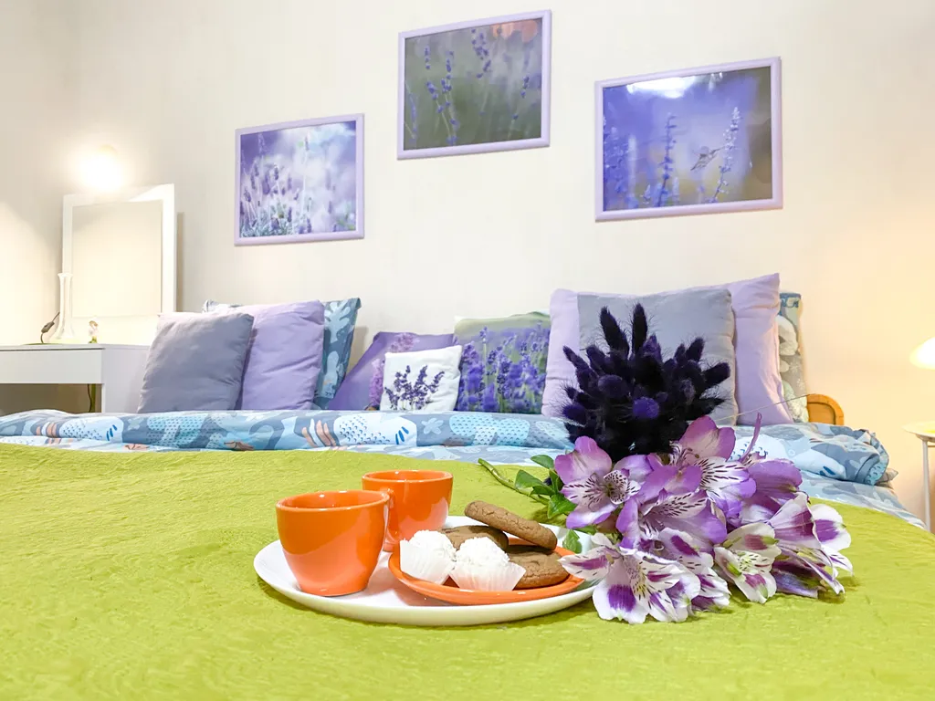 Квартира Квартира Счастье жить в центре Севастополя в самой лавандовой квартире — Севастополь