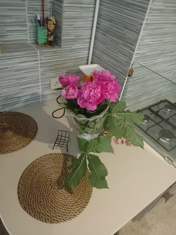 "Студия Чайковского" в центре Калининграда