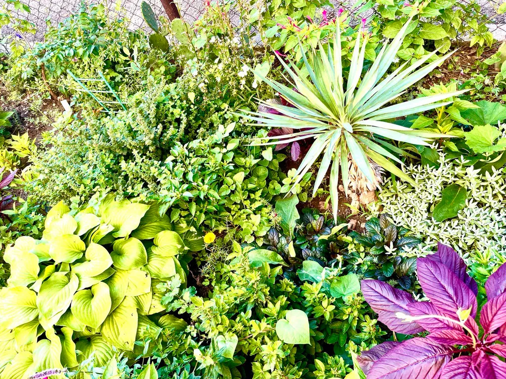 Квартира-студия напротив Мисхорского парка c двориком