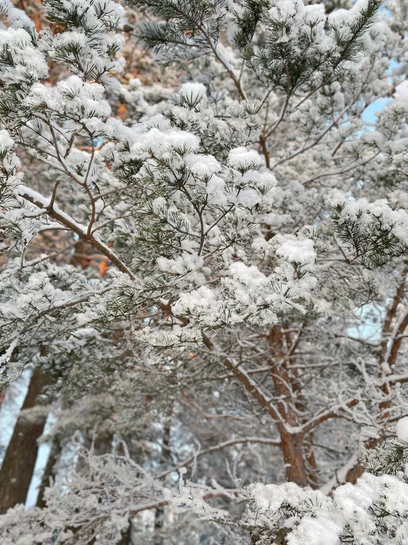 Коттедж Домик в лесу у озера для семейного отдыха — Турбаза Чайка