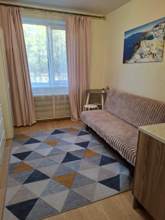 Комфортабельная студия в центральном районе