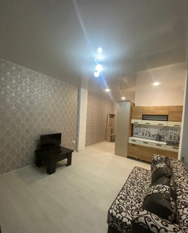 Уютная квартира-студия возле Бальнеологического курорта Мацеста — аренда посуточно в Сочи