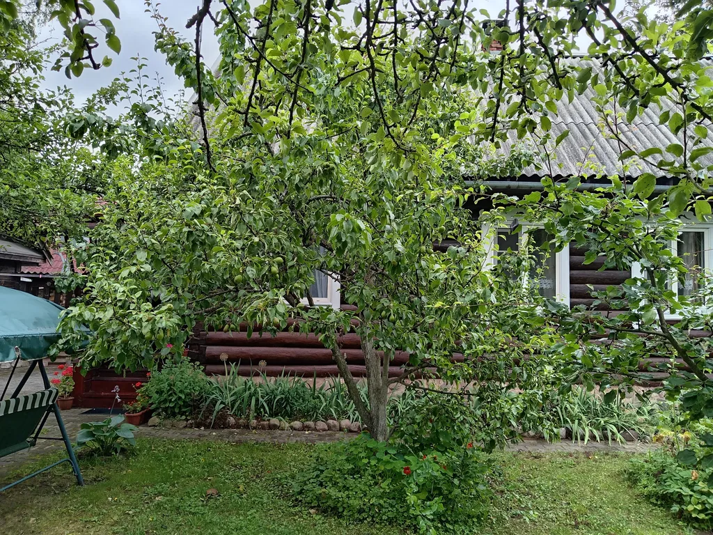 Домик с русской печкой и со всеми удобствами