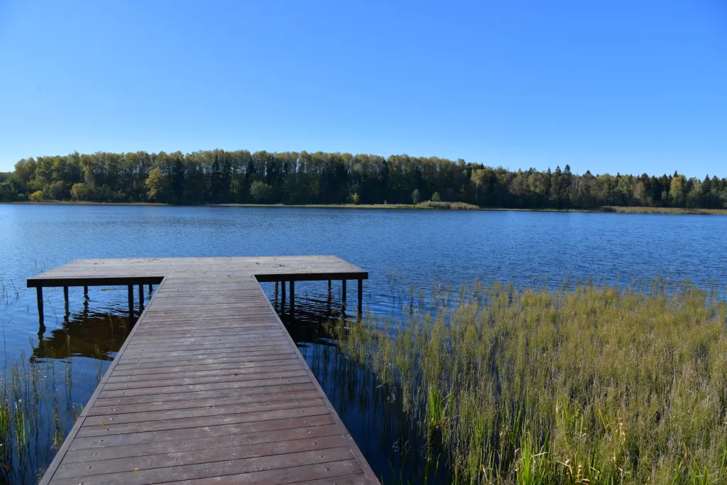 Дом с панорамными окнами в чаще леса у берега реки