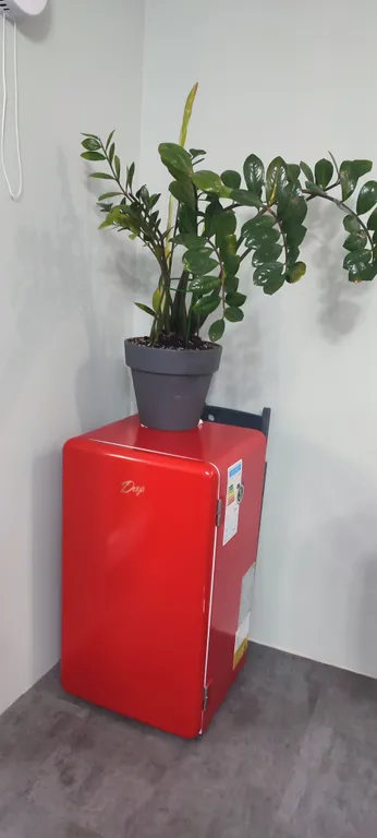 Добро пожаловать