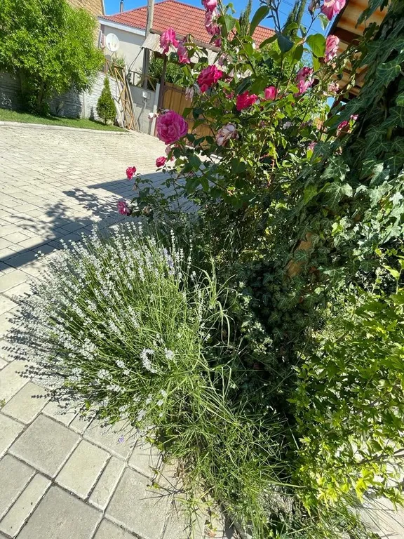 Эко-Отель Севастополь/Орловка