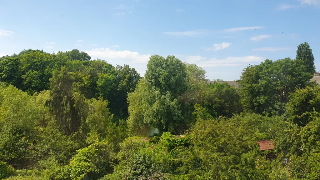 Светлая однушка - комфорт и удобство