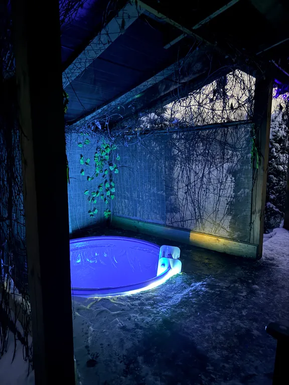 Коттедж Дом на берегу пруда — Бор