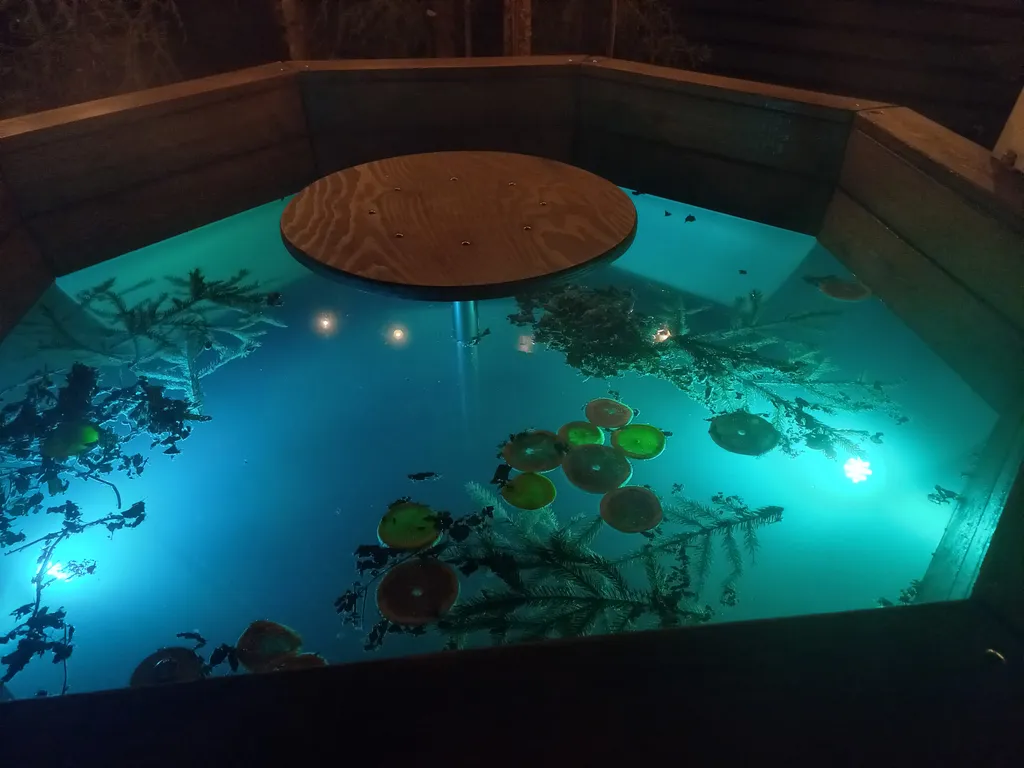 Дом Барин Лес