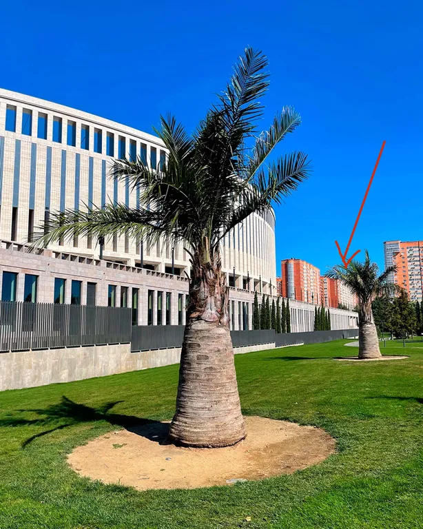 Квартира Квартира в районе парка Галицкого — Краснодар