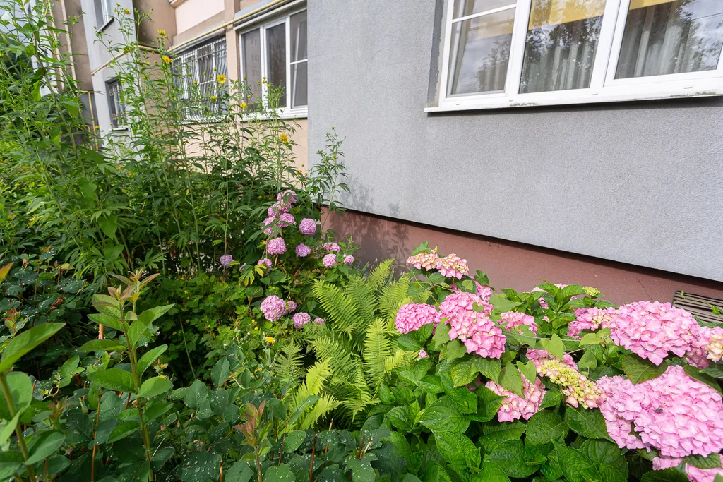 Квартира Апартаменты у поющего фонтана — Калининград