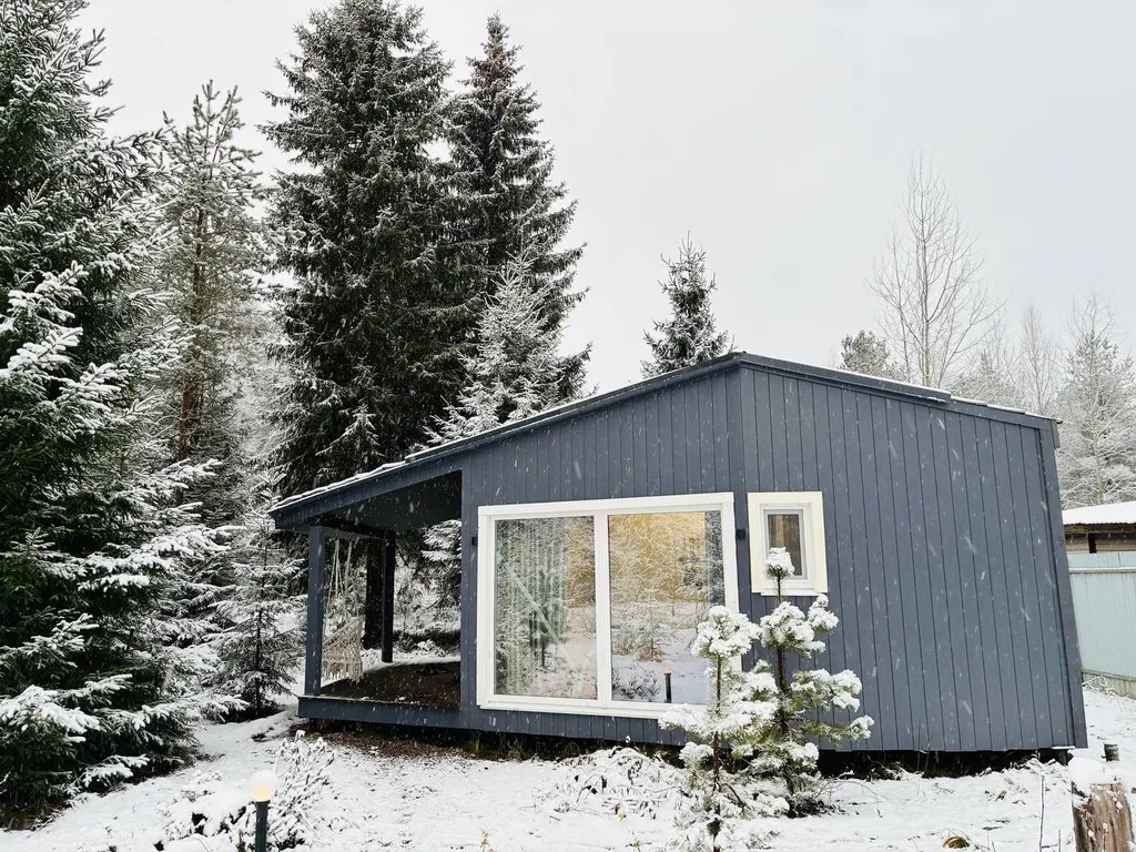 Панорамный дом в лесу