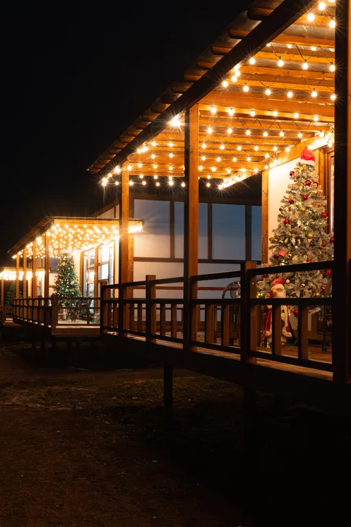 Дом в стиле Джапанди